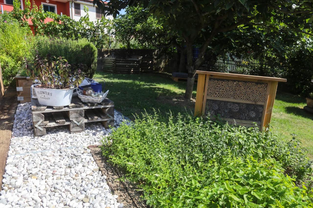 Hotel Healthy House Glamping Koper Exterior foto