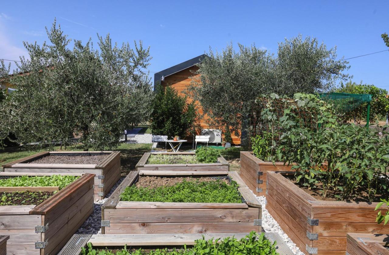 Hotel Healthy House Glamping Koper Exterior foto