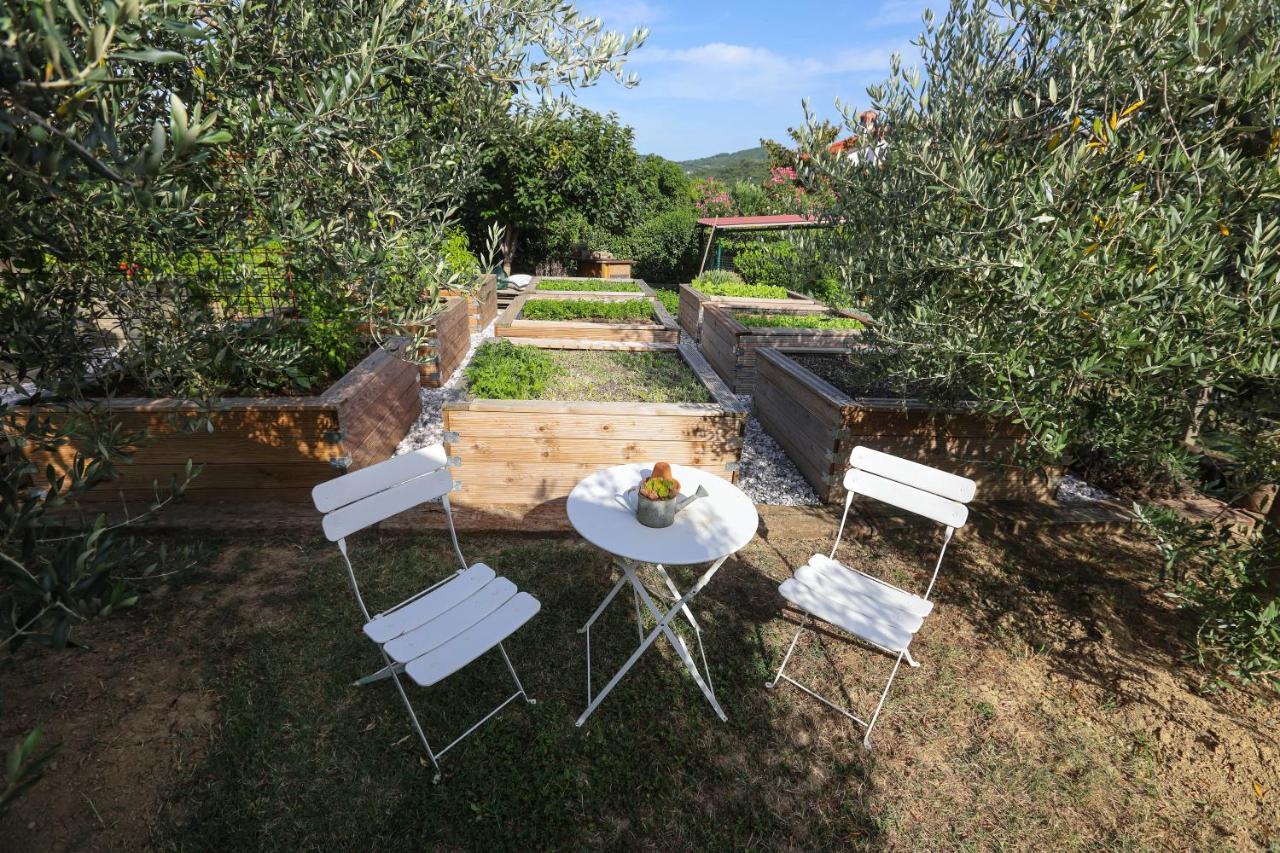 Hotel Healthy House Glamping Koper Exterior foto