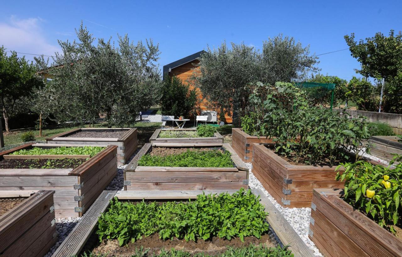 Hotel Healthy House Glamping Koper Exterior foto